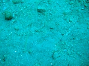 DSCF1810