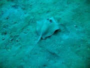 DSCF1820