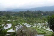 P1090215