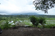 P1090219