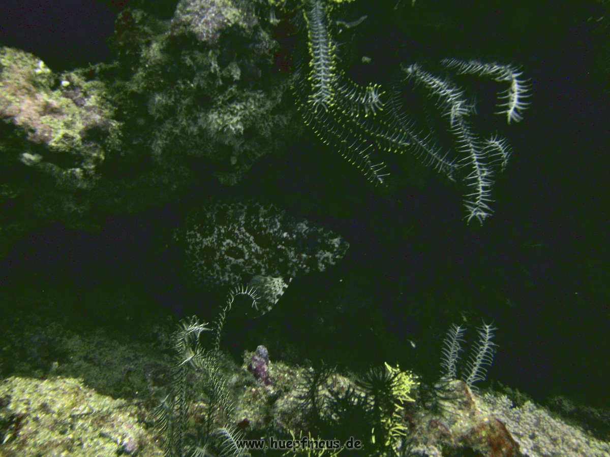 PICT0536.JPG