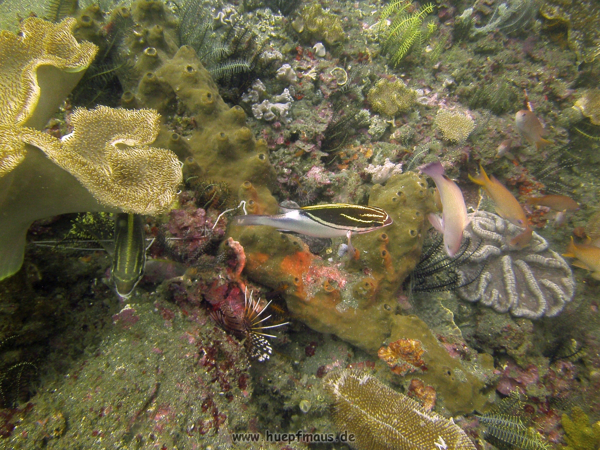 PICT0626.JPG