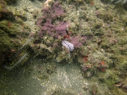 PICT0612