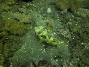 PICT0628