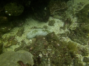 PICT0638