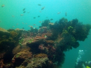 PICT0639