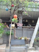 DSCF1963
