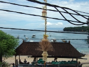 DSCF1967