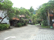 DSCF1976