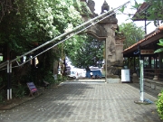 DSCF1978