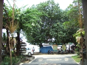 DSCF1982