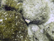 DSCF1874