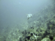 DSCF1886