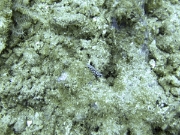 DSCF1889