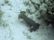 DSCF1936