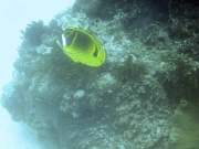 DSCF1949
