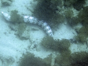 DSCF1958