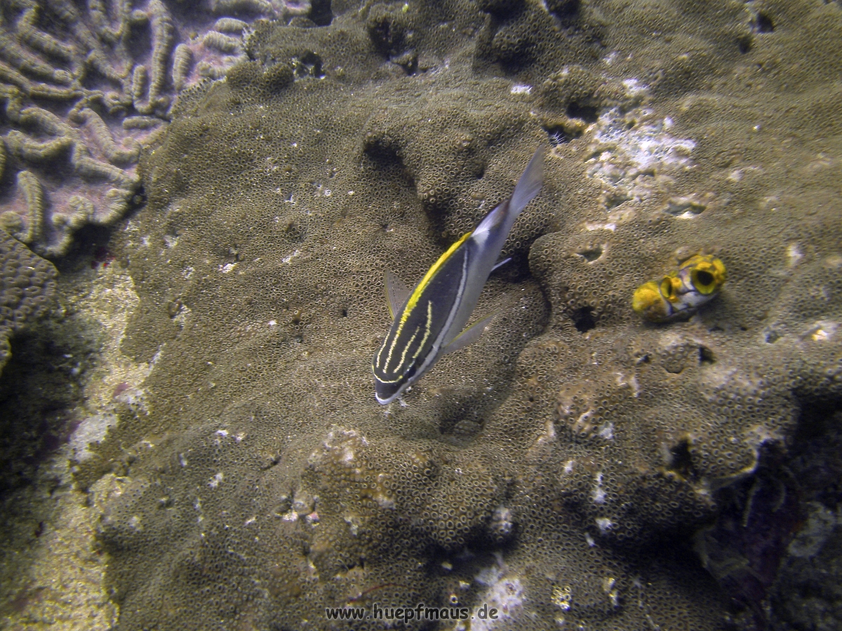 PICT0789.JPG