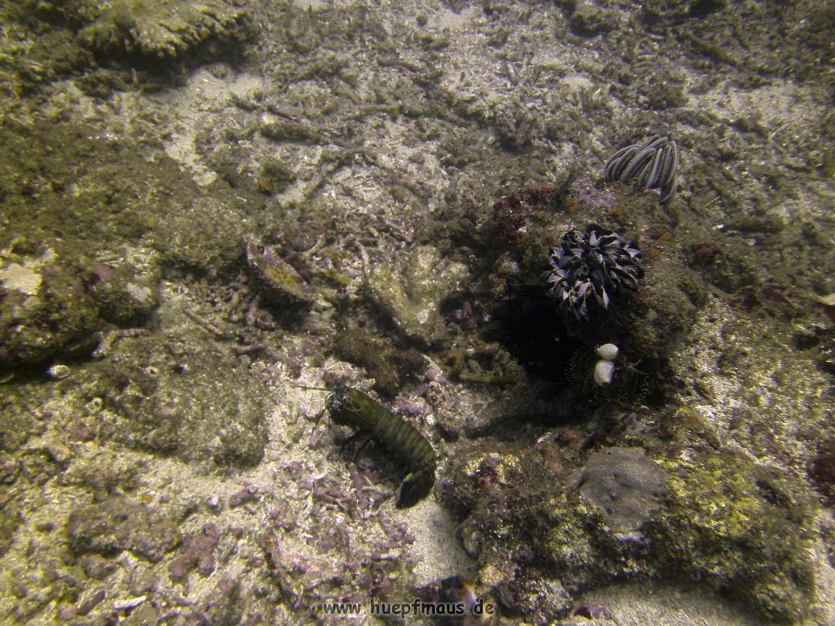 PICT0800.JPG