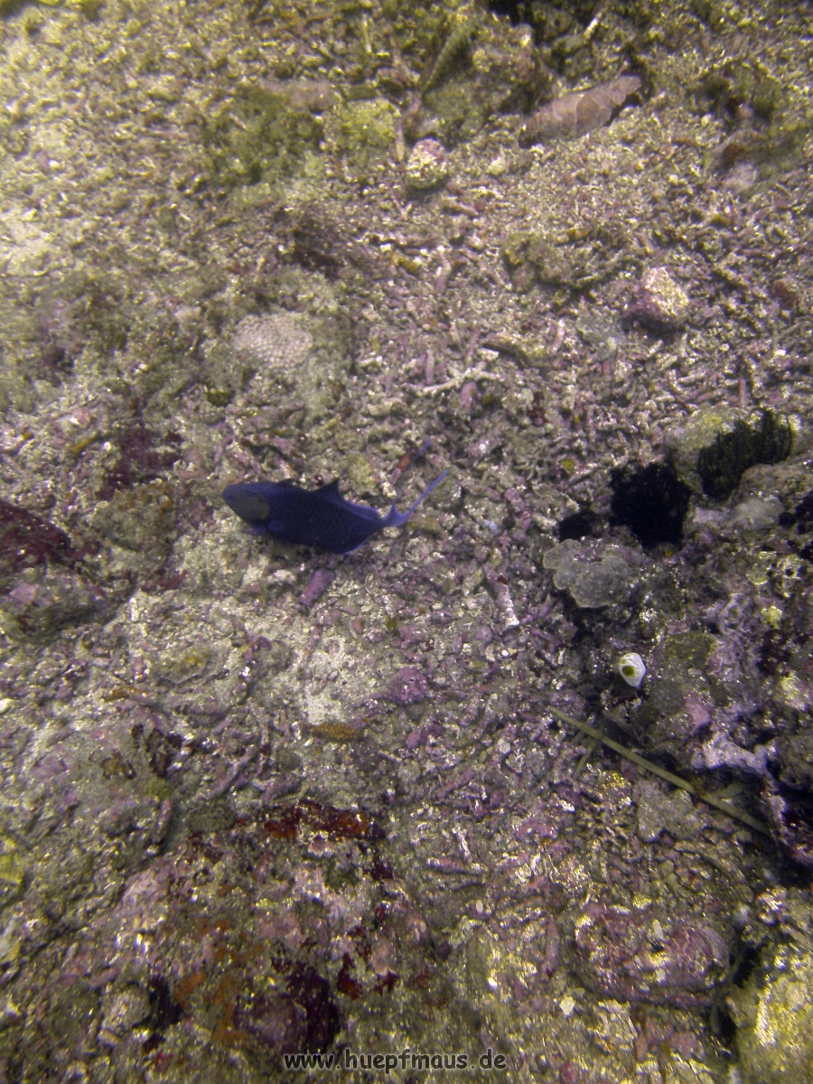 PICT0803.JPG