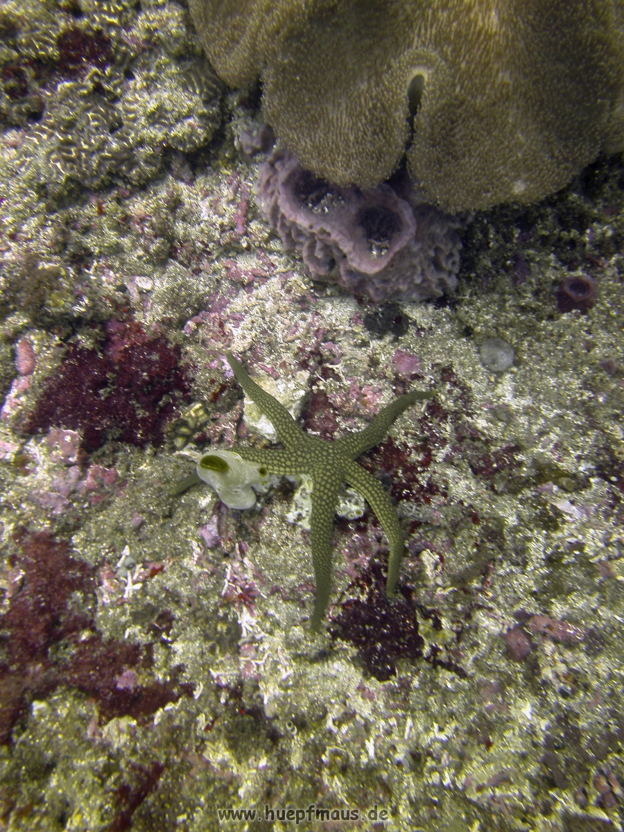 PICT0810.JPG