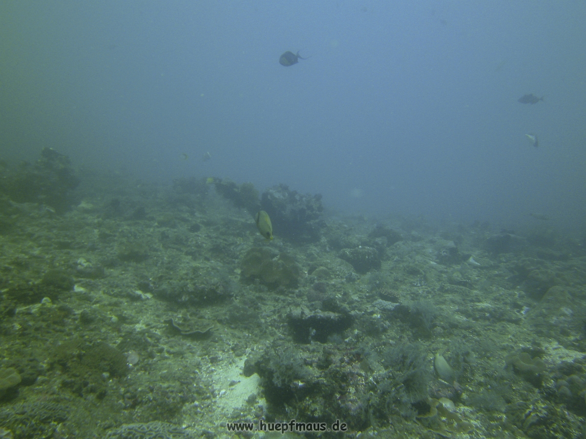 PICT0816.JPG