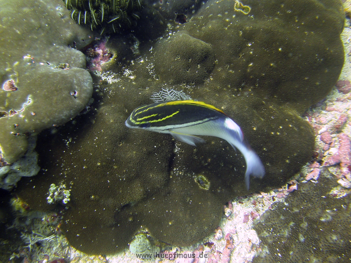 PICT0824.JPG