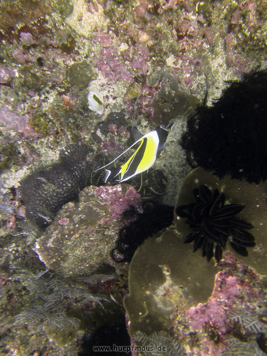 PICT0826.JPG