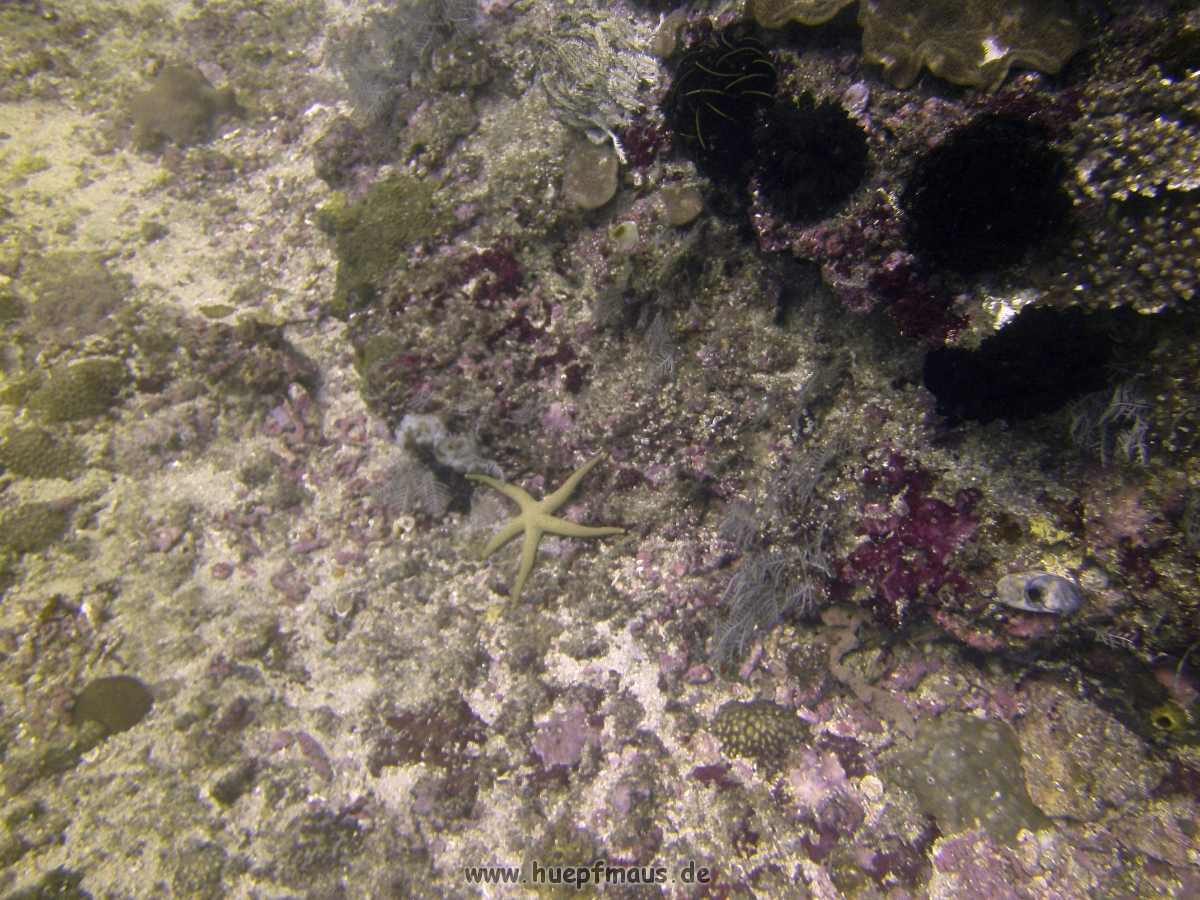 PICT0827.JPG