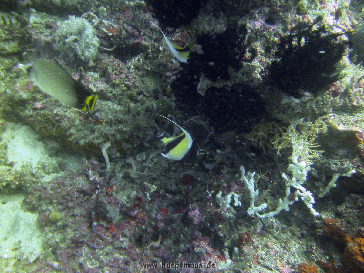 PICT0832.JPG
