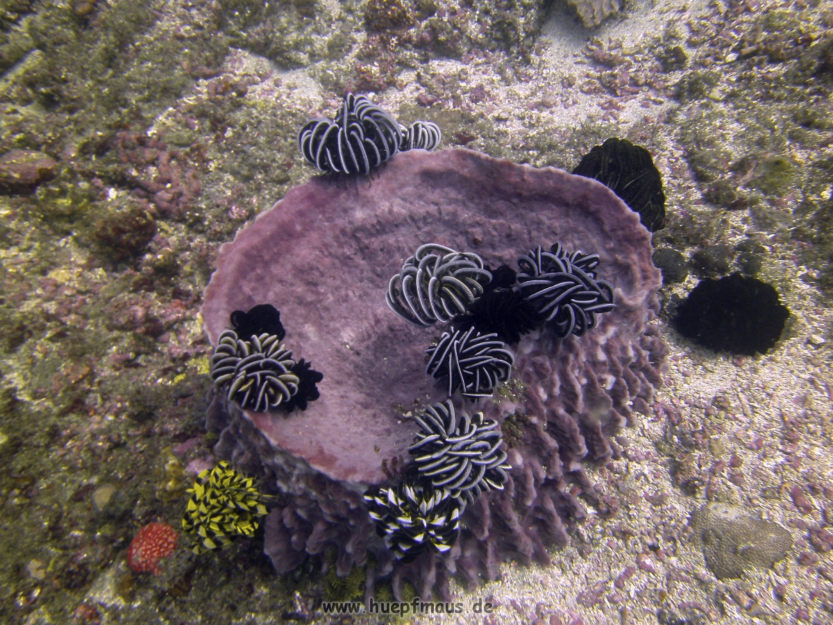 PICT0840.JPG