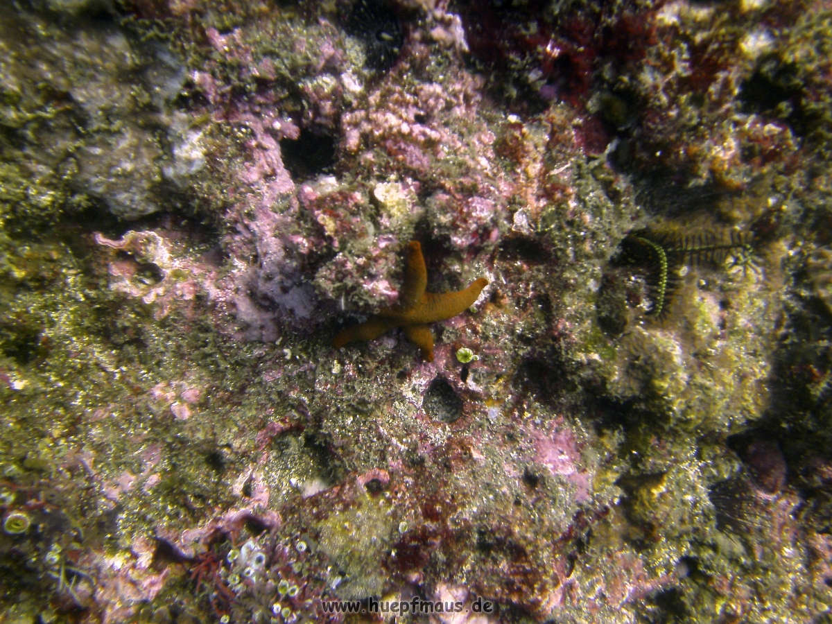 PICT0844.JPG
