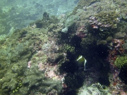 PICT0818