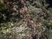 PICT0821