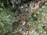 PICT0823