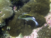 PICT0824