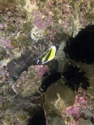 PICT0826