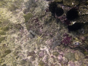 PICT0827