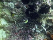 PICT0832