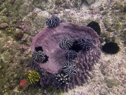 PICT0840