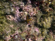 PICT0844