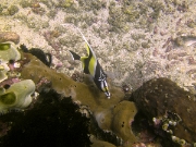 PICT0845