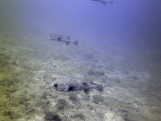 PICT0908