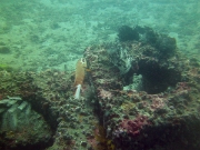 PICT0933