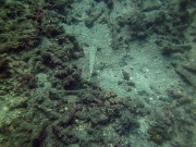 PICT0935