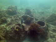 PICT0937