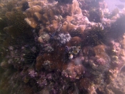 PICT0938