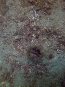 PICT0943