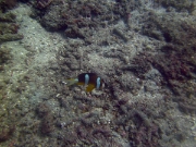 PICT0945