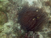 PICT0959